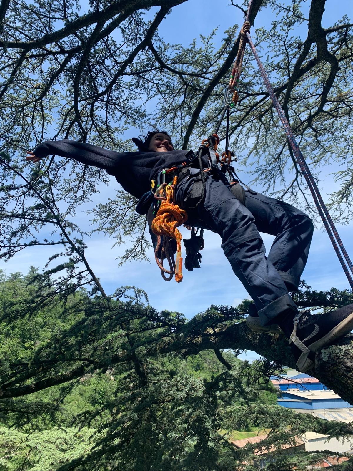 1ff901a9 071e 4ab3 9bcd d7ce1eed51ad