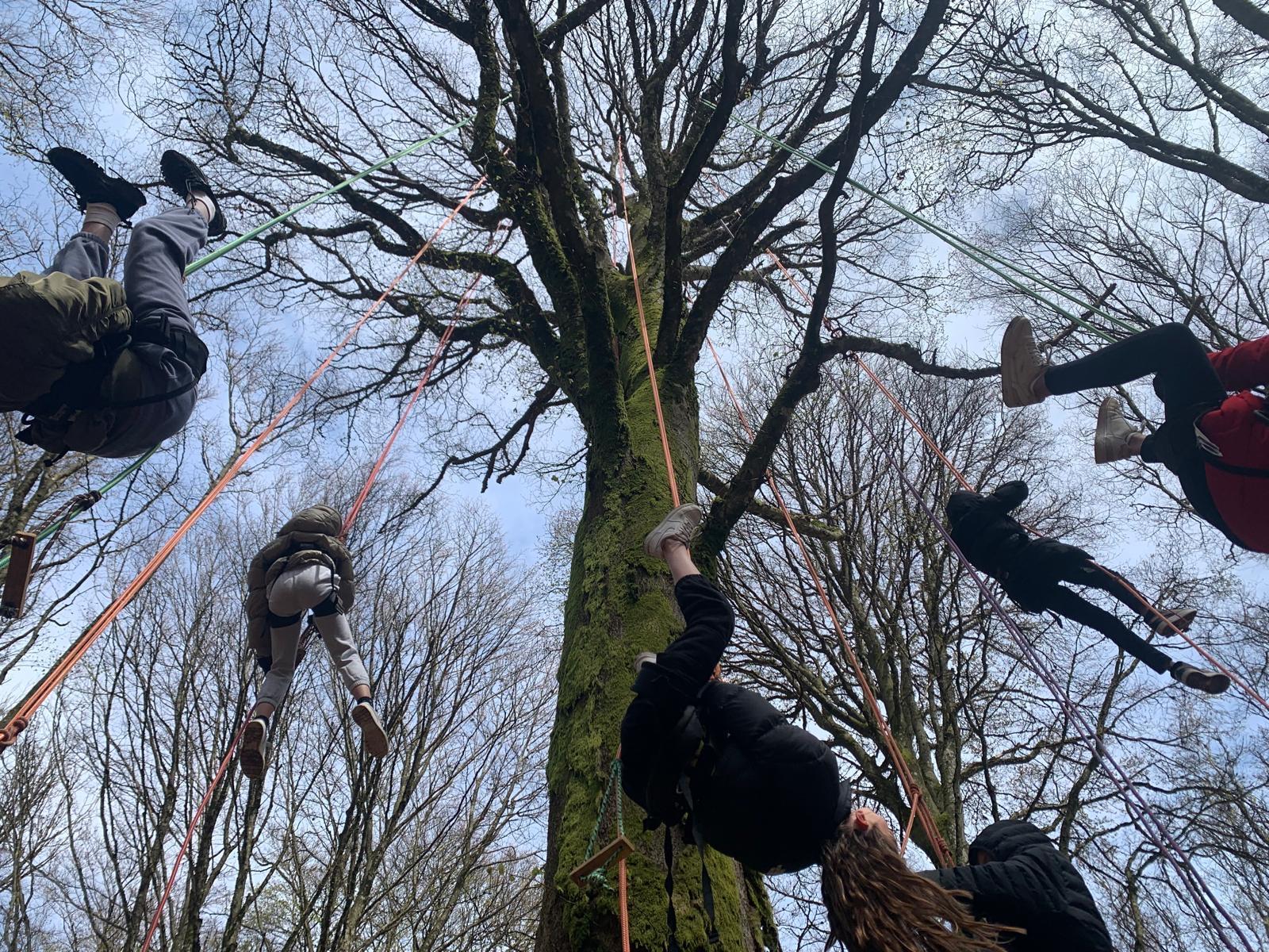 6acf290f 5b6e 41bd aa23 fc2da2326df4