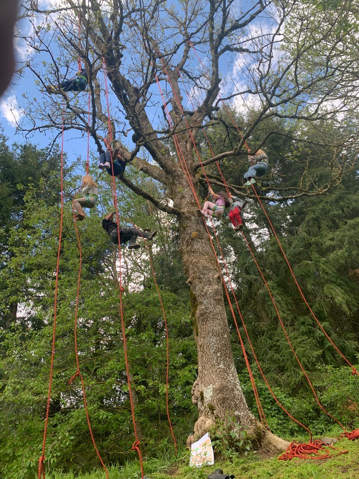 F583988b 12f4 4c0a bdf4 954fc584936e